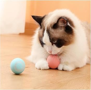 Pelota interactiva mascotas